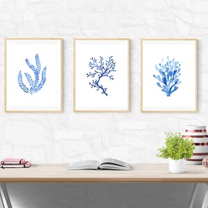 Puede incluir: Tres impresiones enmarcadas en acuarela con dise&ntilde;os de coral y algas marinas azules. La obra de arte se exhibe sobre un escritorio de madera clara con un fondo blanco. Una peque&ntilde;a planta, libros y jarrones decorativos tambi&eacute;n est&aacute;n en el escritorio.