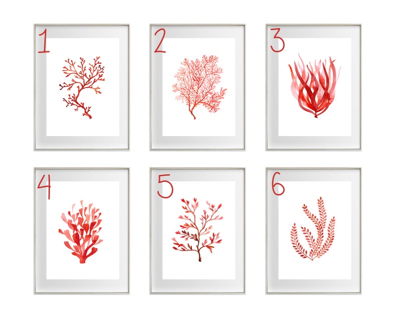 K&ouml;nnte beinhalten: Sechs gerahmte Aquarelldrucke mit roten Korallen- und Seetangmotiven. Jeder Druck ist in einem wei&szlig;en Rahmen und mit 1 bis 6 nummeriert. Die Kunstwerke zeigen verschiedene Korallen- und Seetangformen in Rott&ouml;nen.