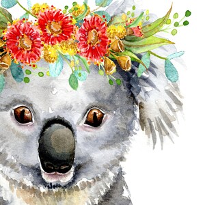 Puede incluir: Una pintura de acuarela de un koala con una corona de flores. El koala tiene ojos marrones y una cara gris y peluda. La corona de flores est&aacute; hecha de flores rojas, amarillas y verdes.