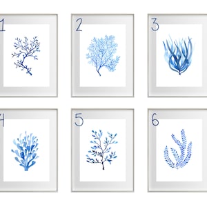 Puede incluir: Seis impresiones enmarcadas en acuarela con dise&ntilde;os bot&aacute;nicos azules. Cada impresi&oacute;n muestra una planta acu&aacute;tica diferente, incluyendo coral y algas marinas, sobre un fondo blanco. Los marcos son plateados y cada impresi&oacute;n est&aacute; numerada del uno al seis.