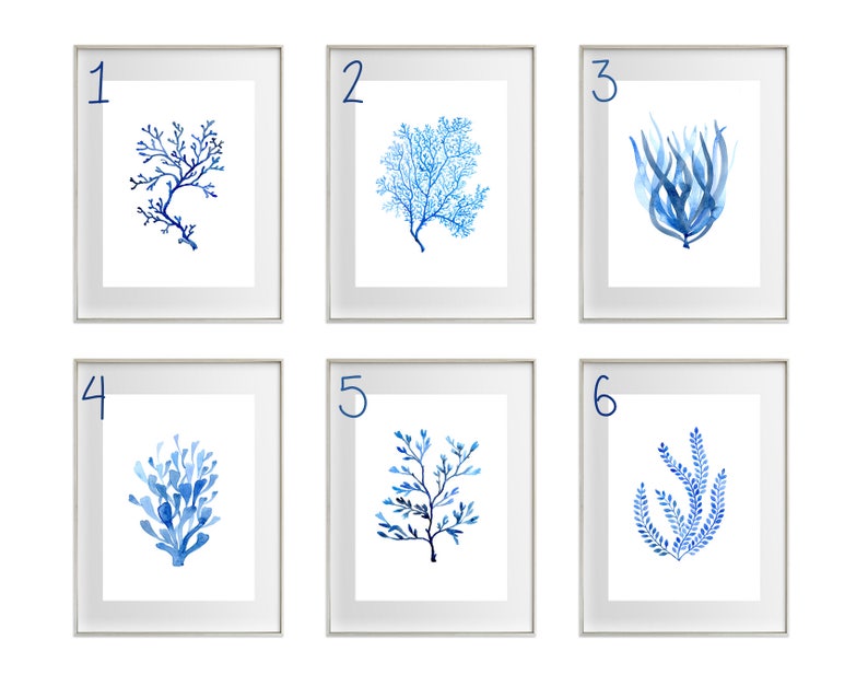 Puede incluir: Seis impresiones enmarcadas en acuarela con dise&ntilde;os bot&aacute;nicos azules. Cada impresi&oacute;n muestra una planta acu&aacute;tica diferente, incluyendo coral y algas marinas, sobre un fondo blanco. Los marcos son plateados y cada impresi&oacute;n est&aacute; numerada del uno al seis.