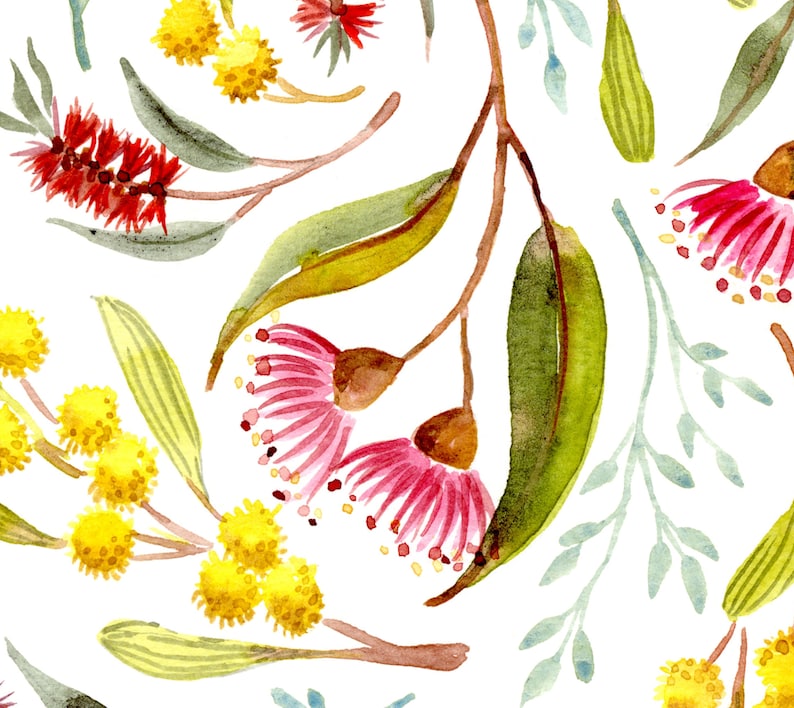 Australian Native Flowers Art Print Aussie Bush Watercolour Etsy