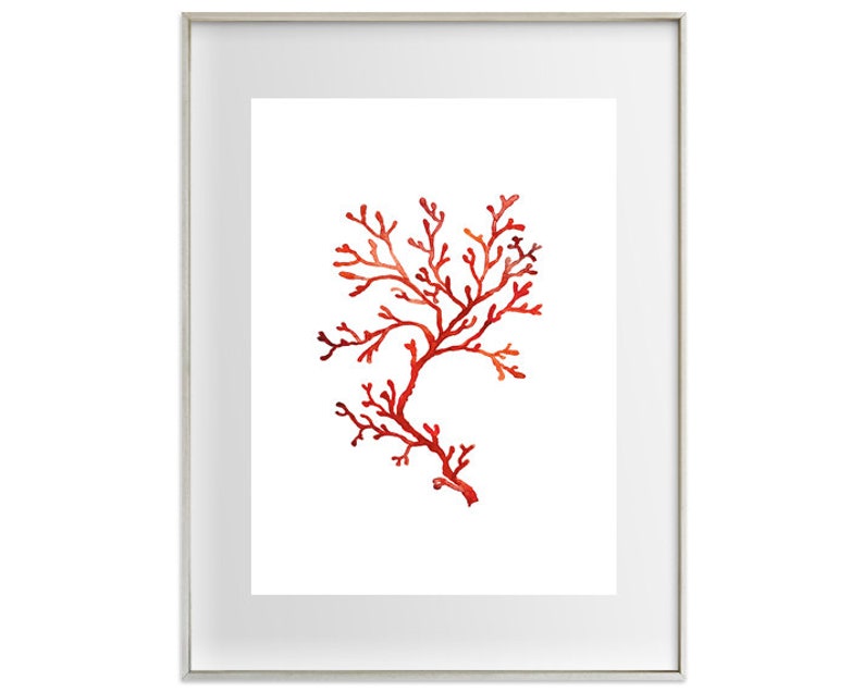 K&ouml;nnte beinhalten: Ein gerahmter Aquarelldruck mit einem leuchtend roten Korallenast vor wei&szlig;em Hintergrund. Das Kunstwerk ist in einem silbernen Rahmen eingefasst, was dem botanischen Thema eine elegante Note verleiht. Die filigranen Details der Koralle sind hervorgehoben.