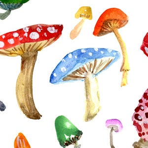 Toadstools & Mushrooms Art Print, Colourful Watercolor Wall Art, Home Decor, Fungus Woodland Painting, Forest Nature Woods Natural Artwork image 2