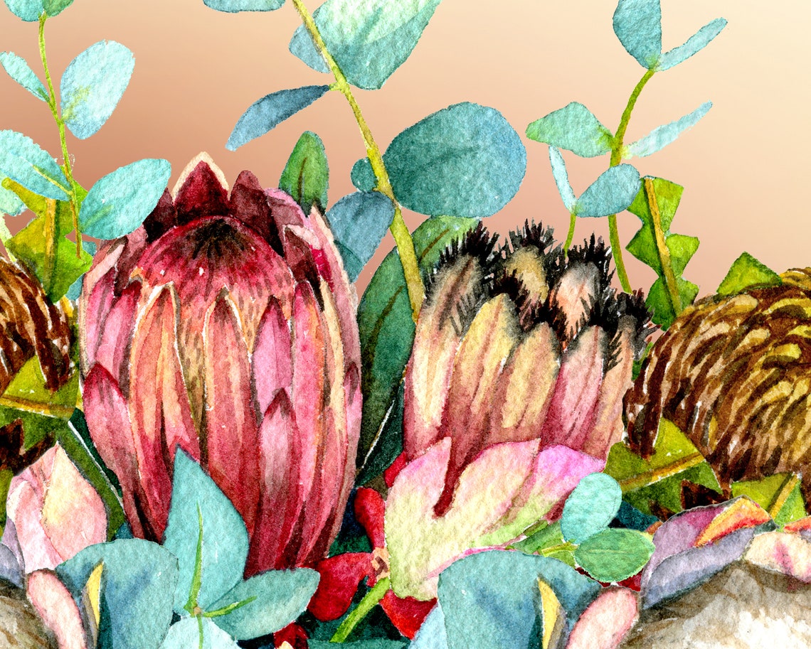 Australian Native Flowers Art Print Australiana Watercolor Etsy