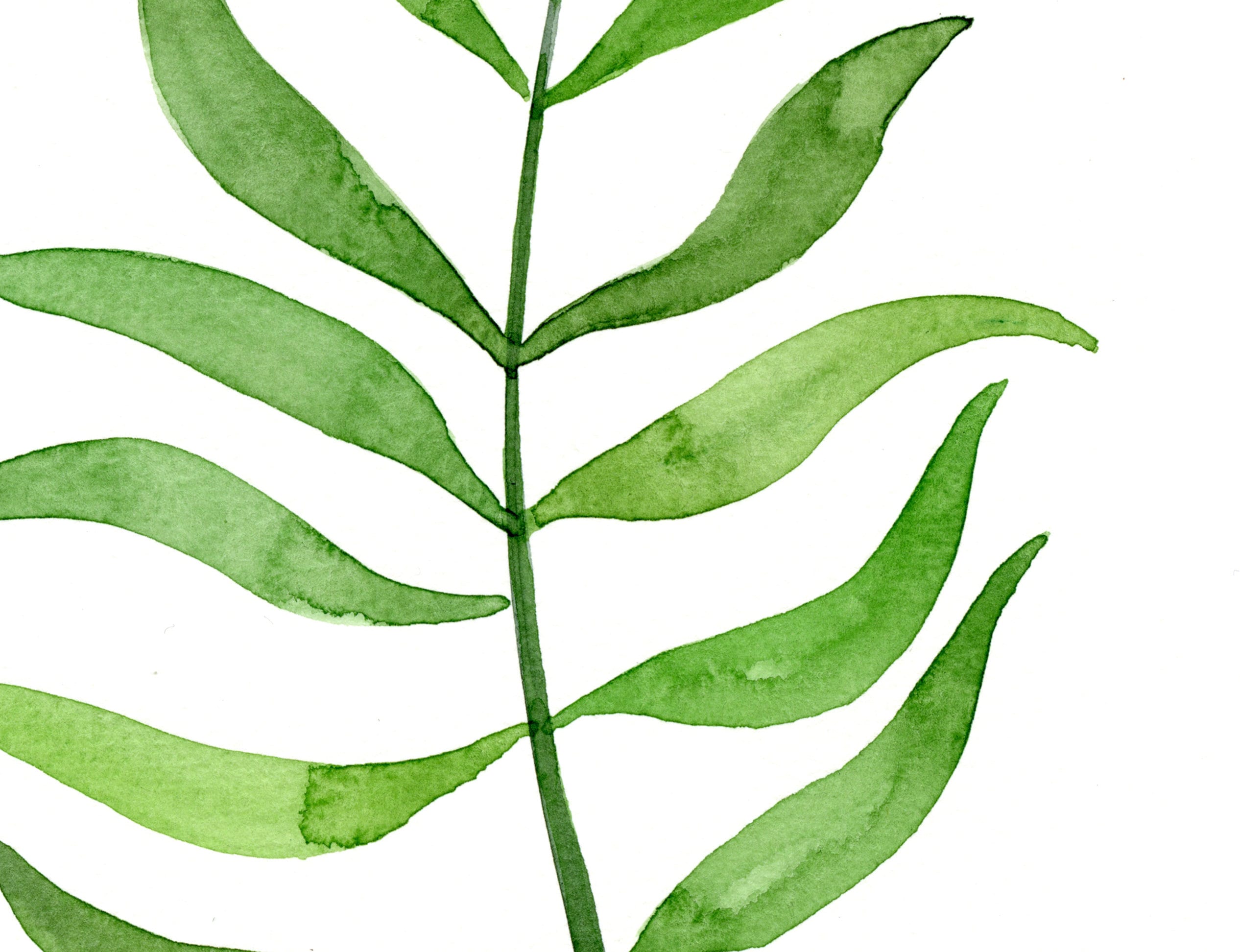 Green Leaf Watercolour Art Prints / Set of 3 / Natural Leaves Home ...