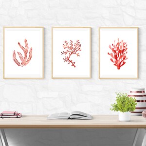K&ouml;nnte beinhalten: Drei gerahmte Aquarelldrucke mit roten Korallen- und Seetangmotiven. Das Kunstwerk wird auf einem hellen Holzschreibtisch mit einer Pflanze, B&uuml;chern und dekorativen Vasen ausgestellt. Die Rahmen haben eine nat&uuml;rliche Holzoberfl&auml;che.
