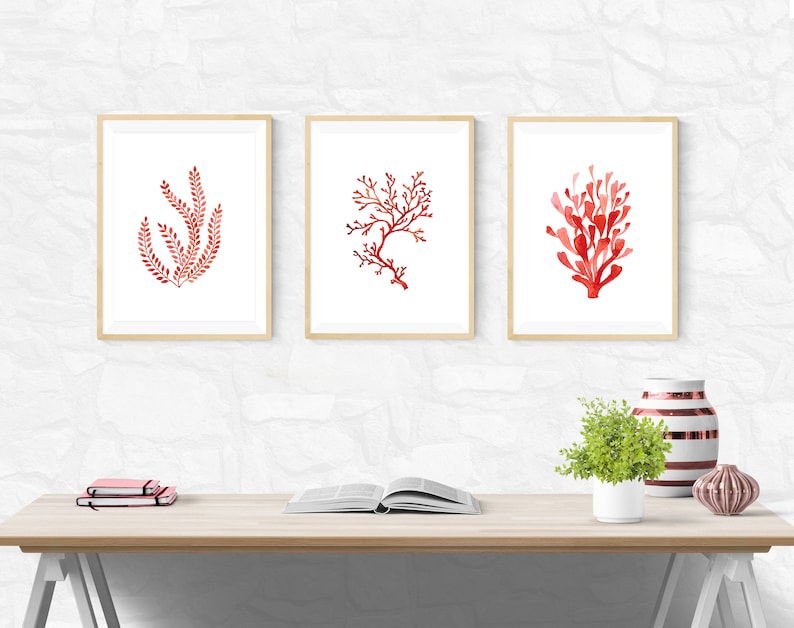 K&ouml;nnte beinhalten: Drei gerahmte Aquarelldrucke mit roten Korallen- und Seetangmotiven. Das Kunstwerk wird auf einem hellen Holzschreibtisch mit einer Pflanze, B&uuml;chern und dekorativen Vasen ausgestellt. Die Rahmen haben eine nat&uuml;rliche Holzoberfl&auml;che.
