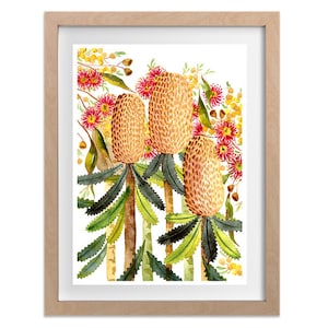 Puede incluir: Pintura acuarela de tres flores de Banksia amarillas y naranjas con flores rojas y amarillas y hojas verdes sobre un fondo blanco.