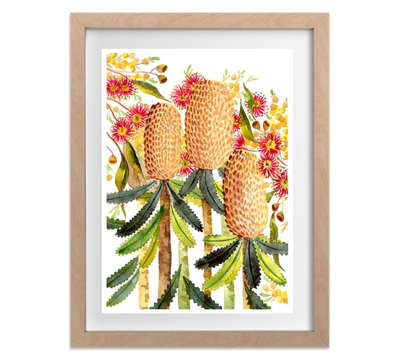 Puede incluir: Pintura acuarela de tres flores de Banksia amarillas y naranjas con flores rojas y amarillas y hojas verdes sobre un fondo blanco.