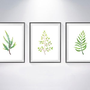 Green Leaf Watercolour Art Prints / Set of 3 / Natural Leaves Home ...