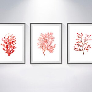 K&ouml;nnte beinhalten: Drei gerahmte Kunstdrucke mit Aquarell-Korallenmotiven in Rot- und Oranget&ouml;nen. Jeder Druck hat einen wei&szlig;en Hintergrund und einen schwarzen Rahmen. Die Korallenillustrationen variieren im Stil und bieten ein zusammenh&auml;ngendes Set f&uuml;r die K&uuml;stendekoration.