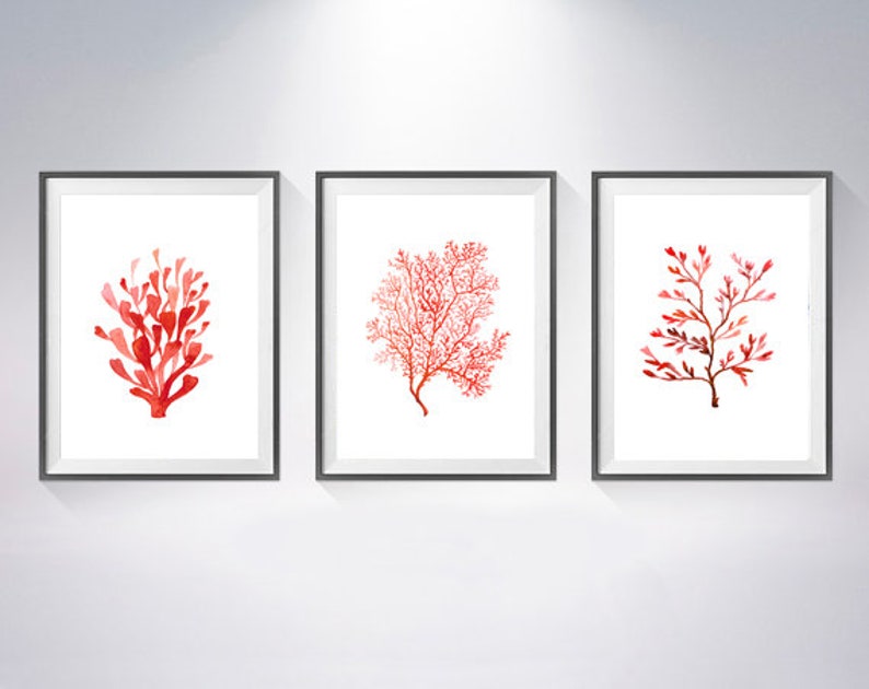 K&ouml;nnte beinhalten: Drei gerahmte Kunstdrucke mit Aquarell-Korallenmotiven in Rot- und Oranget&ouml;nen. Jeder Druck hat einen wei&szlig;en Hintergrund und einen schwarzen Rahmen. Die Korallenillustrationen variieren im Stil und bieten ein zusammenh&auml;ngendes Set f&uuml;r die K&uuml;stendekoration.