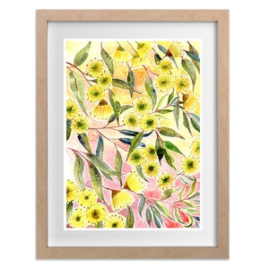 Yellow Gum Blossom Art Print, Australian Native Flowers, Australiana leaves Watercolor, Aussie Home Wall Decor, Modern Australia Painting