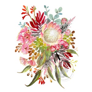 Könnte beinhalten: Aquarellmalerei eines Straußes aus rosa, roten und grünen Blumen. Der Strauß enthält Protea, Eukalyptus und andere australische Wildblumen.