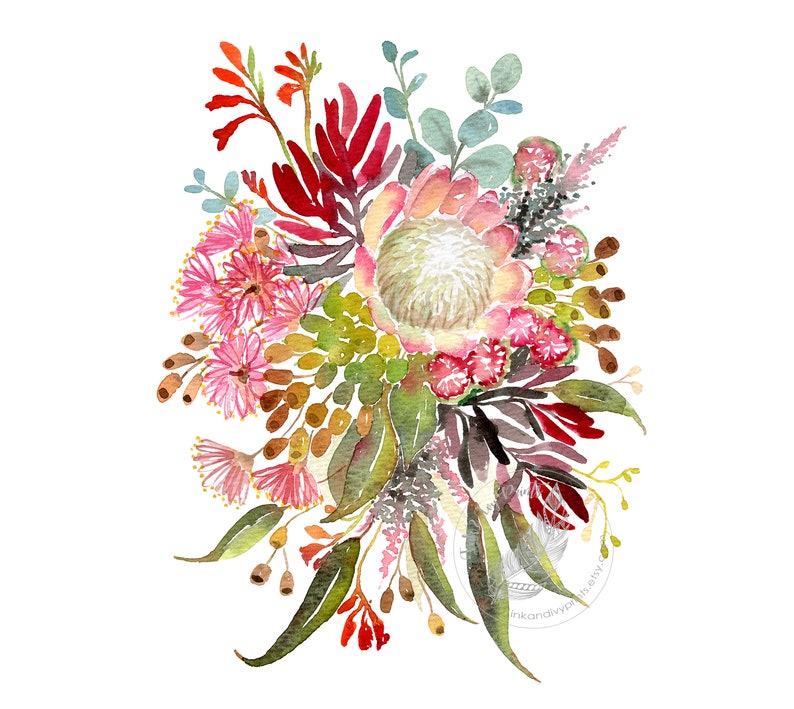 Australian Flowers Art Print, Native Aussie Flora wall decor, protea banksia gumleaves, Modern Watercolor Office Decor Floral Nature artwork image 1