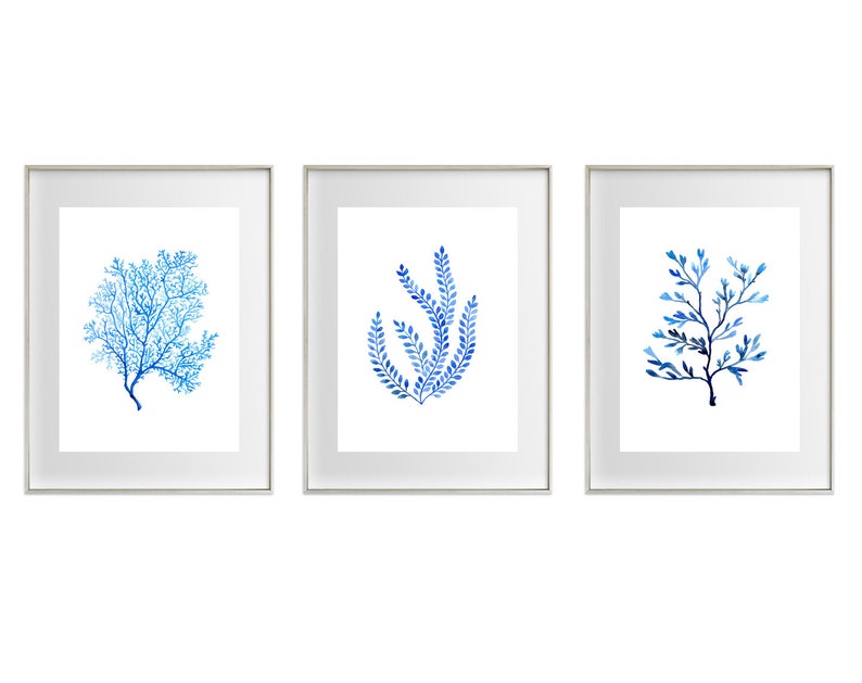 Puede incluir: Tres impresiones art&iacute;sticas enmarcadas con ilustraciones de acuarela de coral azul y algas marinas. La obra de arte se muestra sobre un fondo blanco, enmarcada en plata. El arte tiene un tema costero o n&aacute;utico, ideal para un sal&oacute;n.