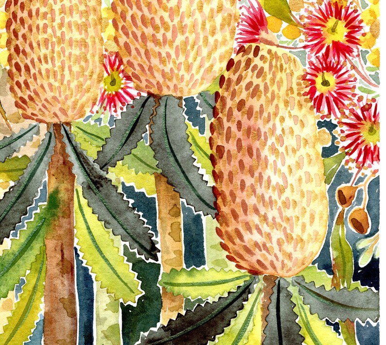 Puede incluir: Una pintura de acuarela de un grupo de flores de Banksia marrones y amarillas con flores rojas y amarillas en el fondo. Las flores est&aacute;n rodeadas de hojas verdes.