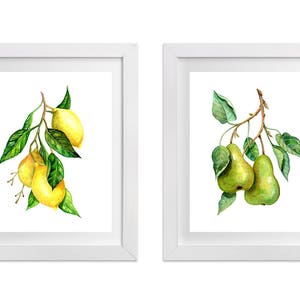 Lemons and Pears Watercolour Prints (pair). Botanical painting, office or home art, wall decor, art print, kitchen art, lemon pear,artwork