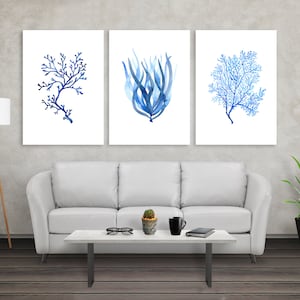 Puede incluir: Tres impresiones enmarcadas en acuarela con dise&ntilde;os de coral y algas marinas azules. La obra de arte se exhibe sobre un sof&aacute; blanco, con una l&aacute;mpara moderna y una planta en maceta en la habitaci&oacute;n. Las impresiones a&ntilde;aden un tema costero a la habitaci&oacute;n.