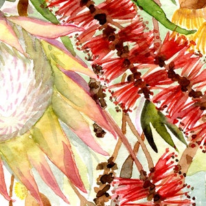 Puede incluir: Pintura acuarela de una flor rosa y amarilla con follaje rojo y verde.