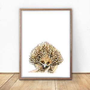 Echidna Art Print, Watercolour Painting, Australian Animal girl or boy nursery decor, children's wall art, Aussie Native Fauna, Australiana