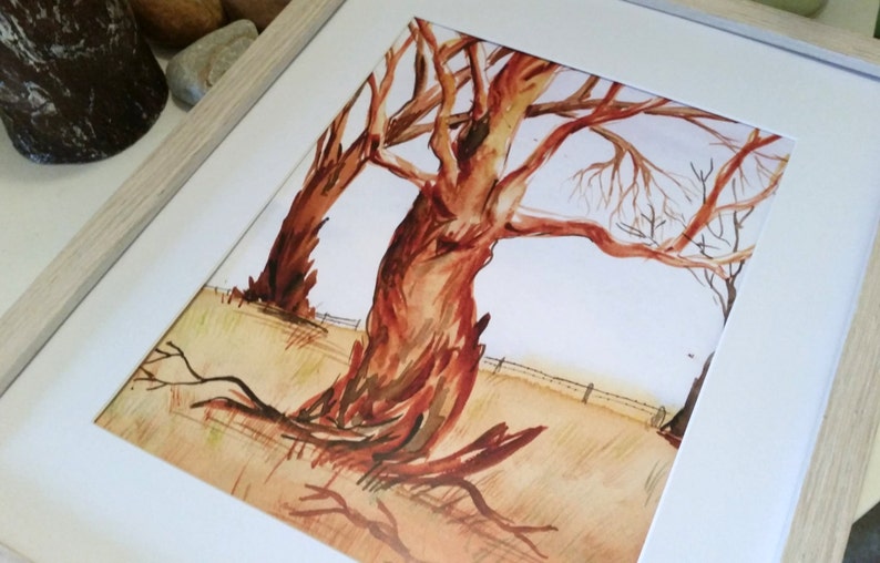 Gumtree Watercolour Art Print Wall Print Australian Etsy Australia