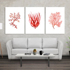 K&ouml;nnte beinhalten: Drei gerahmte Kunstdrucke mit Aquarellillustrationen von roter Koralle und Seetang vor wei&szlig;em Hintergrund. Die Kunstwerke sind &uuml;ber einem wei&szlig;en Sofa und einem modernen Couchtisch ausgestellt und schaffen ein maritimes Thema.