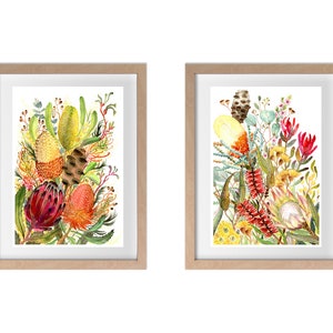 Puede incluir: Dos impresiones enmarcadas de pinturas de acuarela de flores nativas australianas. Las impresiones presentan una variedad de flores en tonos rojos, amarillos y verdes.