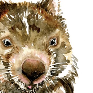 May include: A watercolor painting of a wombat's face. The wombat has brown fur, a pink nose, and black eyes. The background is white.
