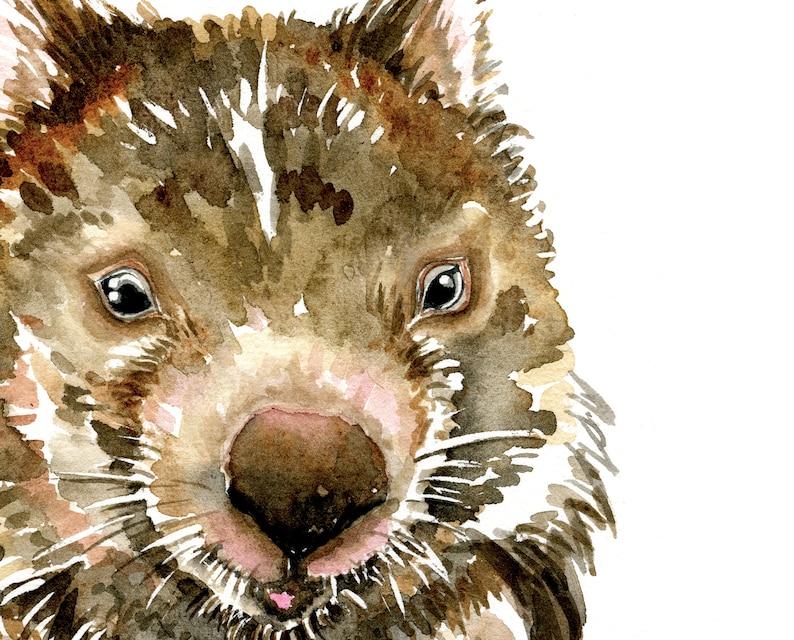 May include: A watercolor painting of a wombat's face. The wombat has brown fur, a pink nose, and black eyes. The background is white.
