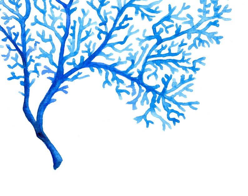 Puede incluir: Pintura a la acuarela de una rama de coral azul sobre un fondo blanco. El coral es de un azul vibrante con intrincados patrones de ramificaci&oacute;n, creando una representaci&oacute;n art&iacute;stica detallada de la vida marina.