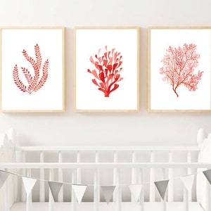 K&ouml;nnte beinhalten: Drei gerahmte Aquarelldrucke mit Korallenriffmotiven in Rott&ouml;nen. Die Kunstwerke sind an einer wei&szlig;en Wand &uuml;ber einem wei&szlig;en Kinderbett mit einem dekorativen Banner ausgestellt.