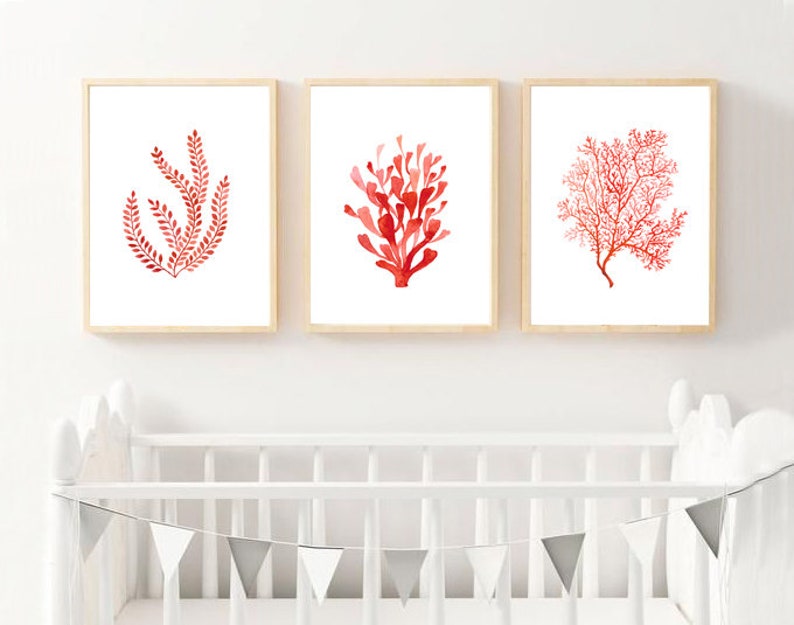 K&ouml;nnte beinhalten: Drei gerahmte Aquarelldrucke mit Korallenriffmotiven in Rott&ouml;nen. Die Kunstwerke sind an einer wei&szlig;en Wand &uuml;ber einem wei&szlig;en Kinderbett mit einem dekorativen Banner ausgestellt.