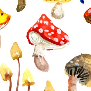 Toadstools & Mushrooms Art Print, Colourful Watercolor Wall Art, Home Decor, Fungus Woodland Painting, Forest Nature Woods Natural Artwork image 4