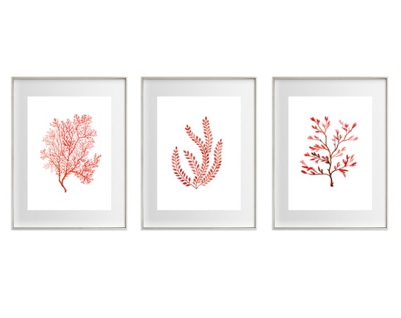 Coral Watercolour Art Prints / Set of 3 / Red-orange Nautical Home Decor Artwork/ Hamptons Style Wall Art / Rust Handpainted Sea Coral