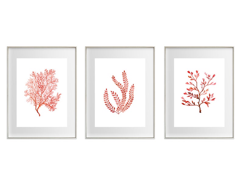K&ouml;nnte beinhalten: Drei gerahmte Kunstdrucke mit Aquarellillustrationen von Korallen und Seetang in Rot- und Oranget&ouml;nen. Die Drucke werden in silbernen Rahmen vor einem wei&szlig;en Hintergrund pr&auml;sentiert und schaffen ein K&uuml;sten- oder maritimes Thema.