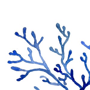 Puede incluir: Pintura a la acuarela de ramas de coral azul sobre un fondo blanco. La obra de arte presenta diferentes tonos de azul, creando una sensaci&oacute;n de profundidad y textura. Las ramas de coral son detalladas y art&iacute;sticas, perfectas para la decoraci&oacute;n costera.