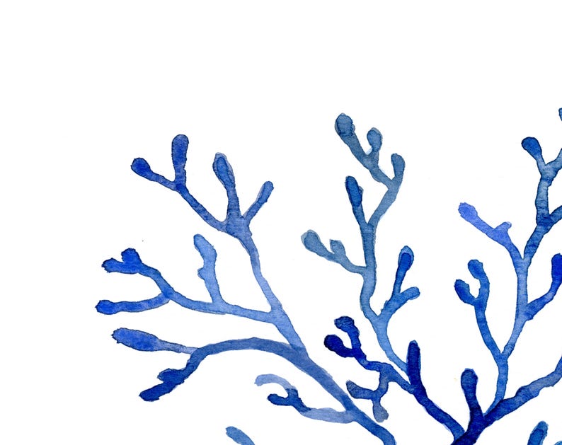 Puede incluir: Pintura a la acuarela de ramas de coral azul sobre un fondo blanco. La obra de arte presenta diferentes tonos de azul, creando una sensaci&oacute;n de profundidad y textura. Las ramas de coral son detalladas y art&iacute;sticas, perfectas para la decoraci&oacute;n costera.