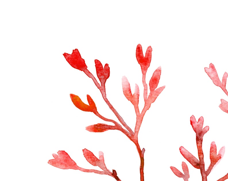 K&ouml;nnte beinhalten: Aquarellmalerei von roten und orangen Pflanzenst&auml;ngeln mit kleinen, blattartigen Formen. Das Kunstwerk ist vor einem wei&szlig;en Hintergrund platziert, wobei die St&auml;ngel in einem nat&uuml;rlichen, organischen Muster angeordnet sind. Der Stil ist weich und k&uuml;nstlerisch.