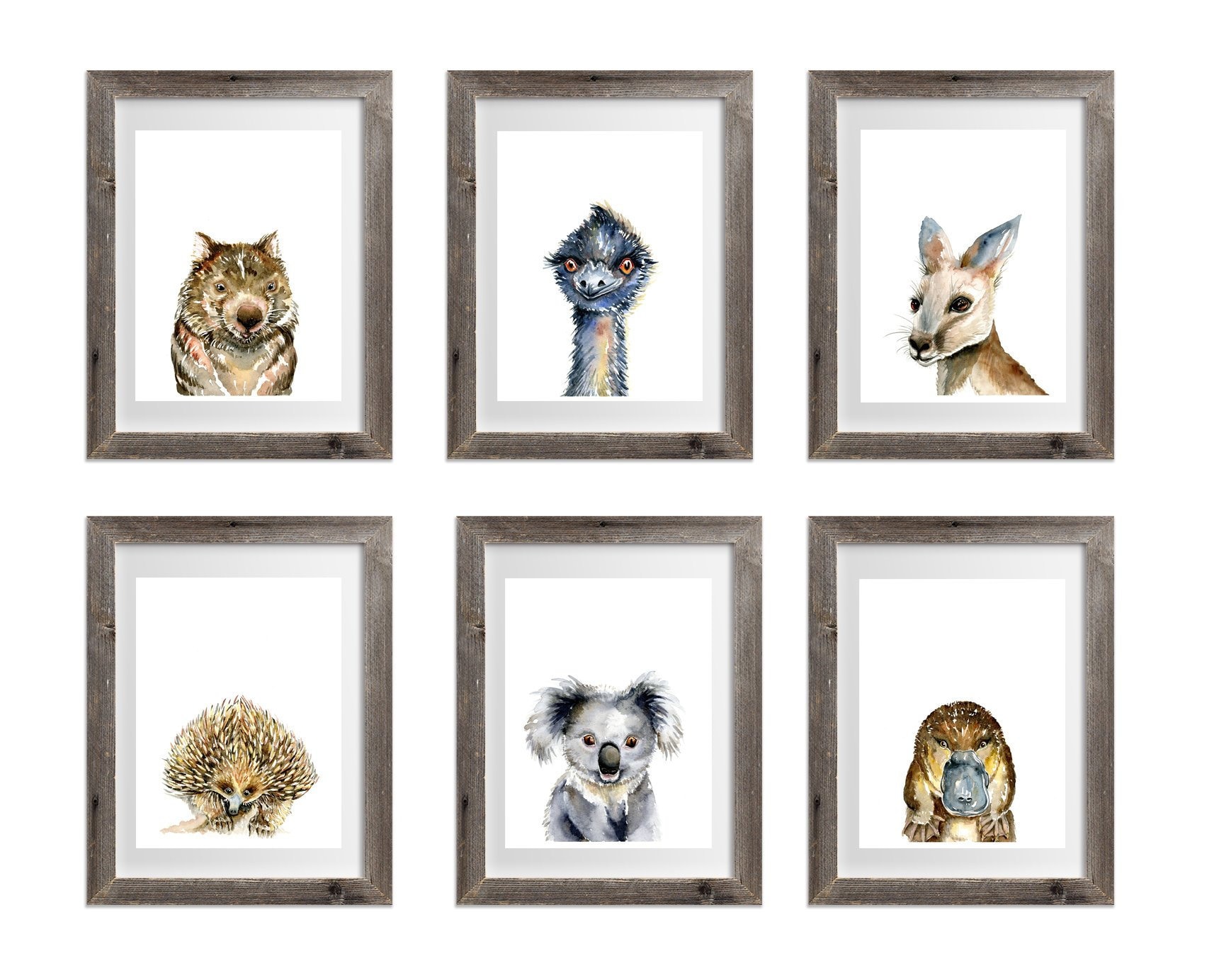 Australian Native Animals Art Prints Set of 6 Koala Kangaroo Etsy Australia