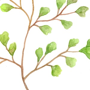 Green Leaf Watercolour Art Prints / Set of 3 / Natural Leaves Home ...