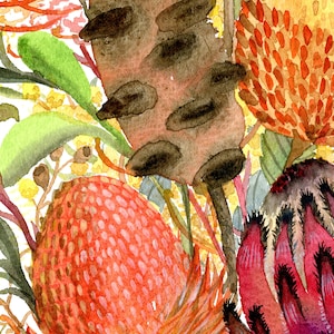 Puede incluir: Pintura acuarela de un ramo de flores, con proteas rojas, naranjas y amarillas, banksias marrones y follaje verde.