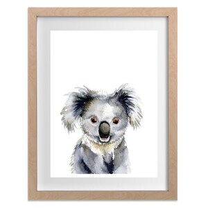 Puede incluir: Una pintura de acuarela de un koala con pelaje gris y ojos marrones. El koala est&aacute; mirando directamente al espectador.