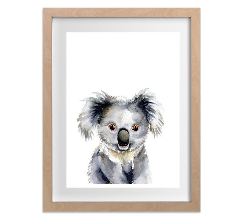 Puede incluir: Una pintura de acuarela de un koala con pelaje gris y ojos marrones. El koala est&aacute; mirando directamente al espectador.