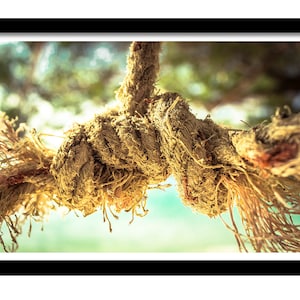 May include: A thick, weathered, natural fiber rope tied in a complex knot. The rope has a rough, frayed texture with visible loose strands and a light brown, tan color. The knot is tightly wound, showing intricate twists and heavy wear throughout.