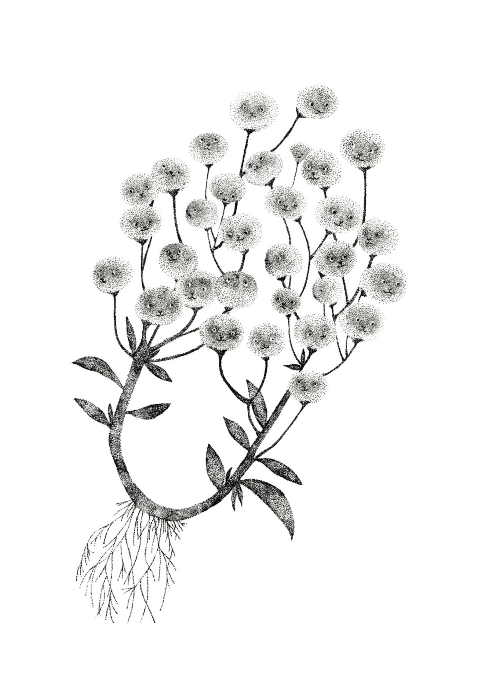 Flower Talk Greeting Card / Invitation Card Original Illustration by