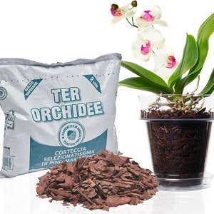Kit for Repotting Orchids: Transparent Pot with Drainage Holes, Saucer and Specific Soil for Orchids