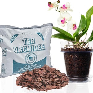 Kit per Rinvasare Le Orchidee: Vaso Trasparente con Fori drenaggio, Sottovaso e Terriccio specifico per Orchidee immagine 1