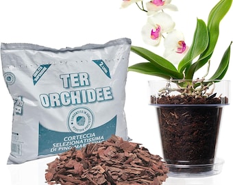 Kit per Rinvasare Le Orchidee: Vaso Trasparente con Fori drenaggio, Sottovaso e Terriccio specifico per Orchidee